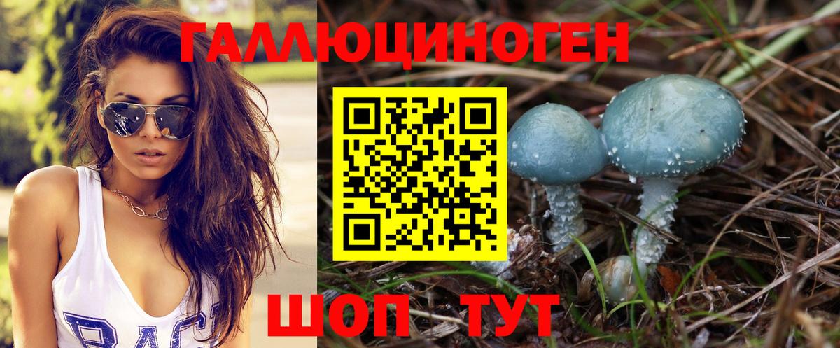 Галлюциногенные грибы GOLDEN TEACHER Фурманов