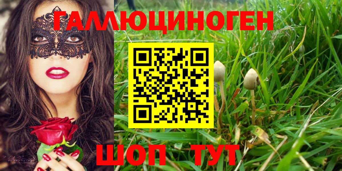 Псилоцибиновые грибы ЛСД  сколько стоит  Фурманов  Вход с VPN 
